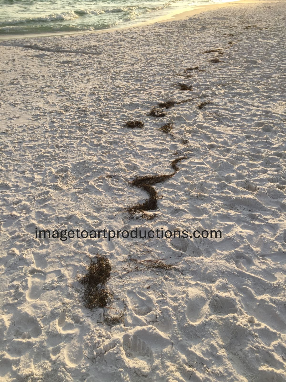 Tropical Locations On the Beach