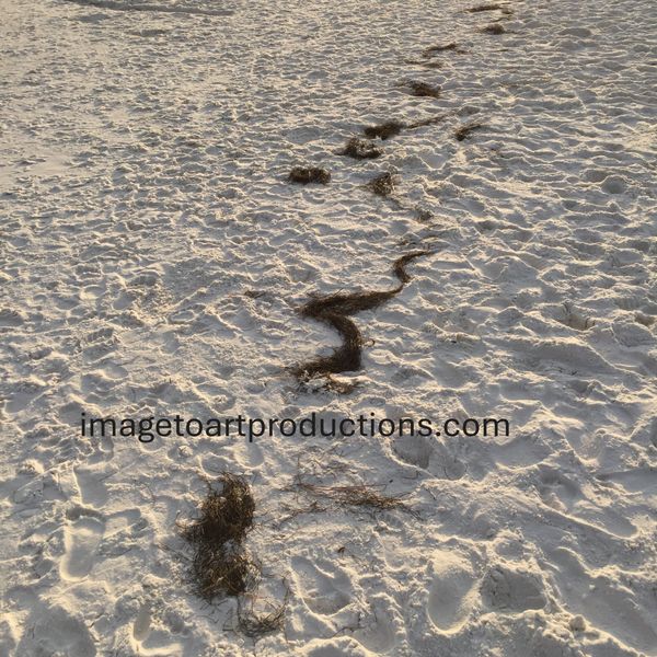 Tropical Locations On the Beach