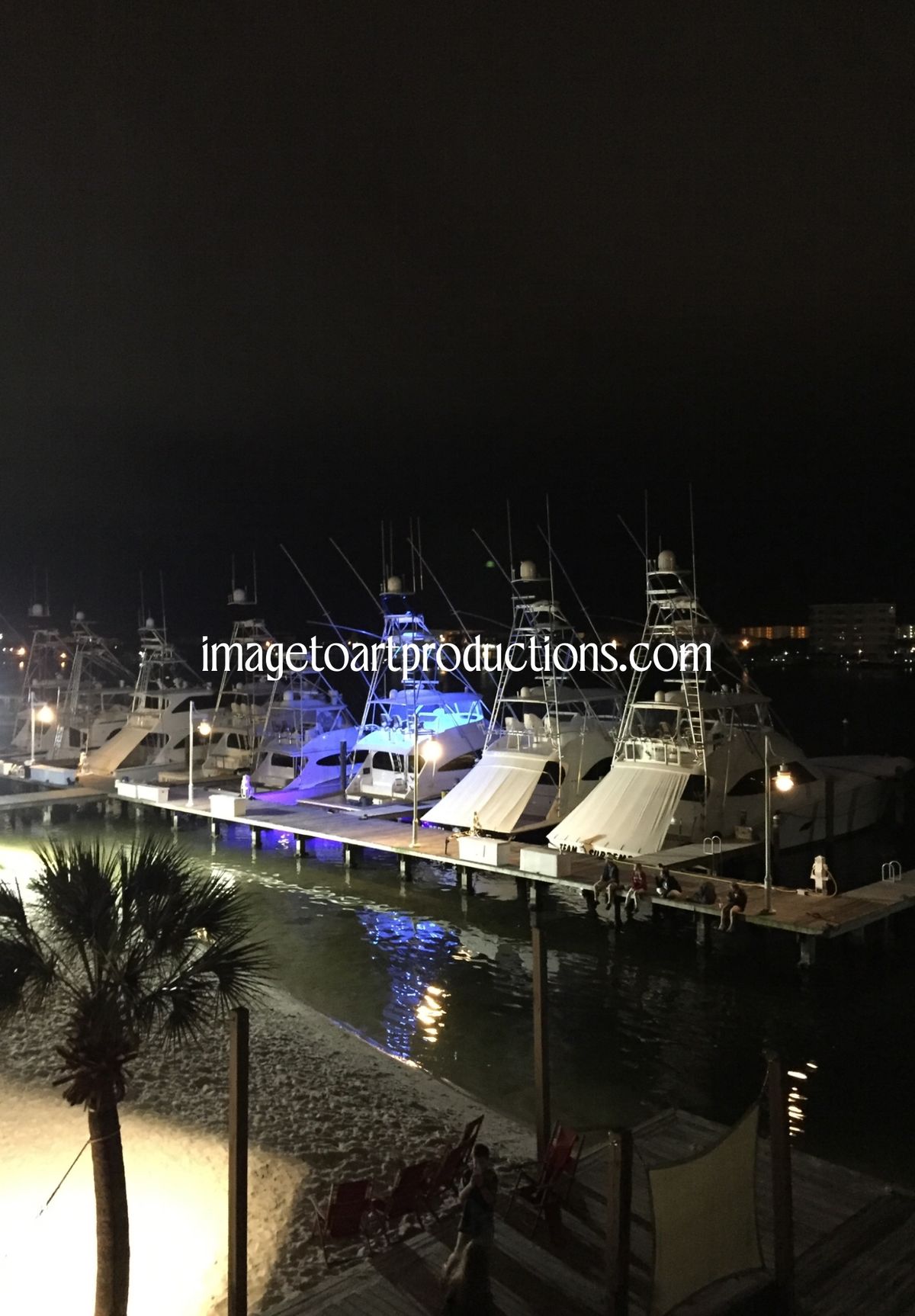 On the Docks at Night! 