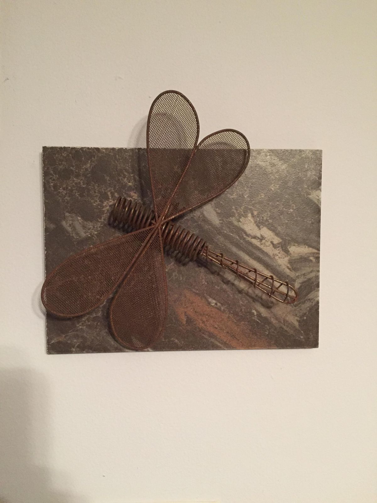 Dragon Fly!