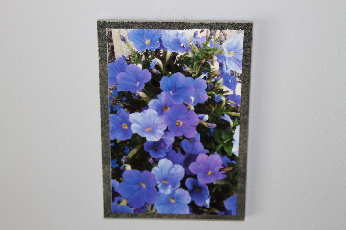 Summer Blooms!
