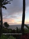 Tropical #3 
