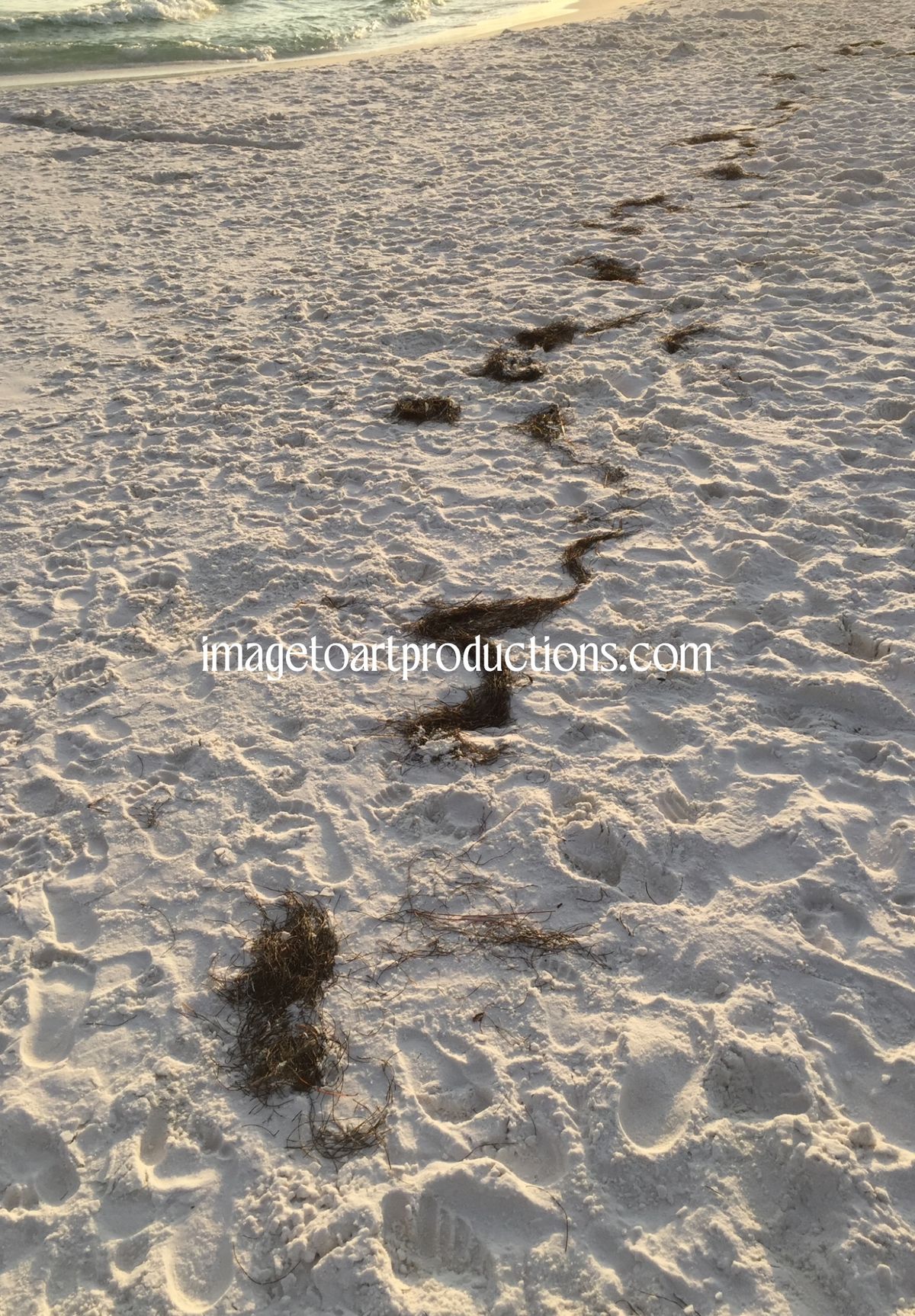 A Walk on the Beach!