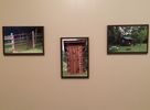 Create A Collection Trio!  (4x6 Print Size)