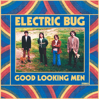 Good Looking Men by Electric Bug