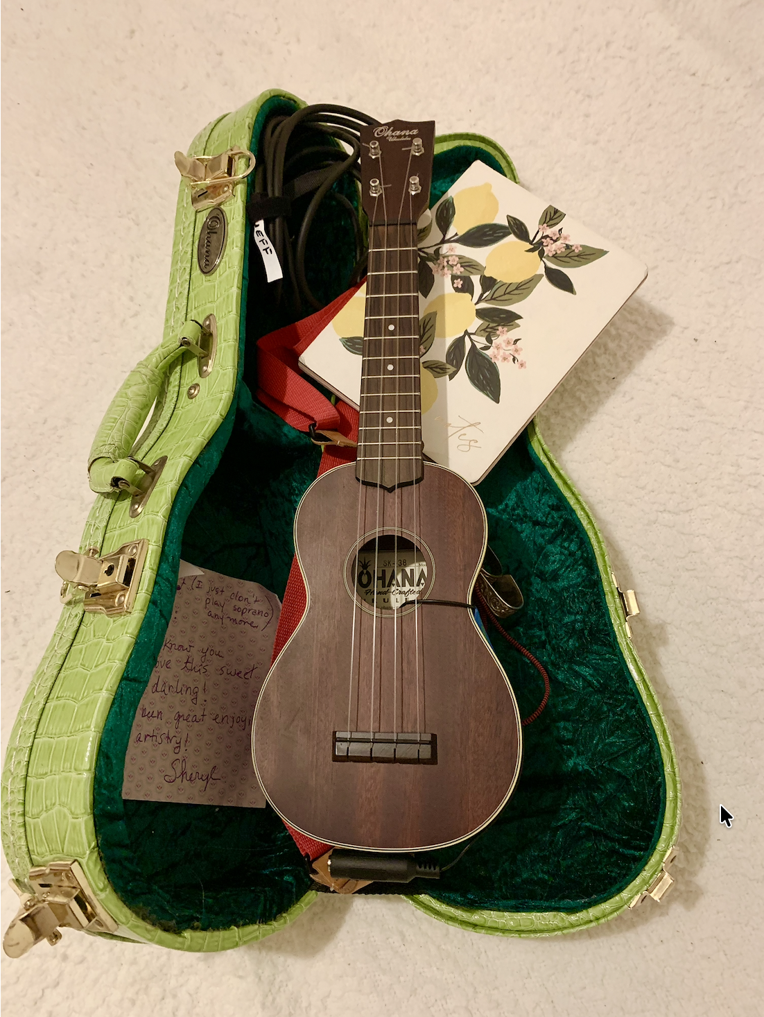 Silvia Passiflora, Southern Gothic Folk poet-songwriter — an Ohana ukulele resting in an open lime green croc-leather case, with a handwritten note from a fellow musician, a cable, and a strap tucked inside, representing the personal repair kit at the heart of Scriptaluna Press.