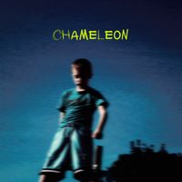 CHAMELEON by YOWK