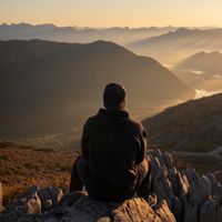 You Say It's Freedom by Andrew Jack