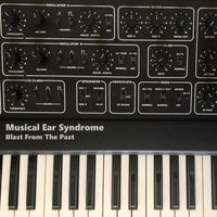 Blast From The Past by Musical Ear Syndrome