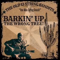 Under My Own Skin by The Old 13 String Bandits