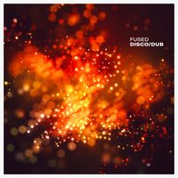 Disco/Dub by FUSED