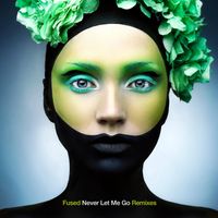 NEVER LET ME GO (REMIXES) by Fused