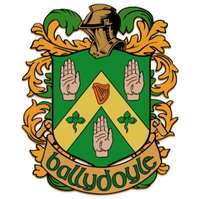 Blue Stone Phoenix Band @ Ballydoyle