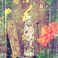 Distance 30 minute reiki session 