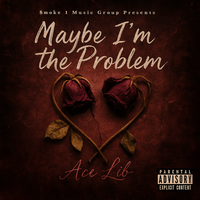 Maybe I'm the Problem by Ace Lib