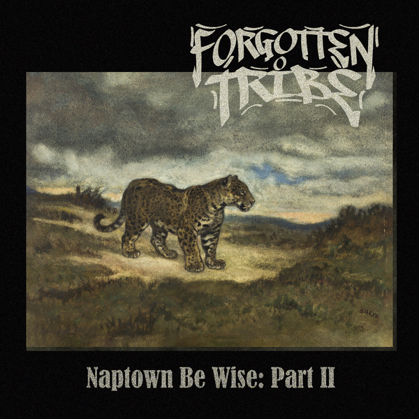 Naptown Be Wise Pt. 2 - CD