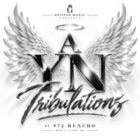 A YN Tribulations (feat. 972 Huncho) by Cory G