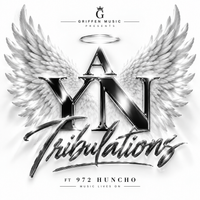 A YN Tribulations (feat. 972 Huncho) by Cory G