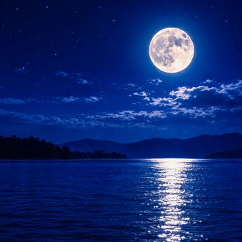 Shandrika (Moonlight)
