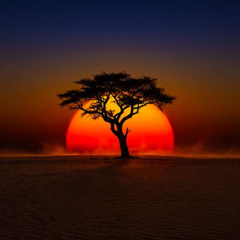 Maru Gagana (Desert Sky Mantra) - Song
