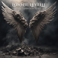 Till I Learn How To Fly by Lonnie LeVelle