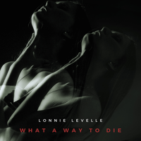 What A Way To Die by Lonnie LeVelle