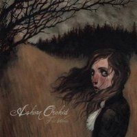 The Woods by Ashcan Orchid