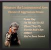 Measure the Instrumental Awe - CD