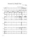 Arrangement Plan (Scores: Sheet Music) - Price is negotiable