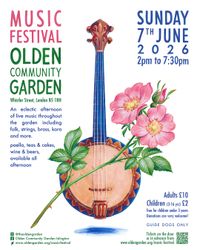 Rookfield street party