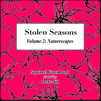 Stolen Seasons, Vol. 2: Naturescapes by Squirrel Flats Band