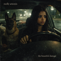 THE BEAUTIFUL DAMAGE by MOLLY ARTEMIS