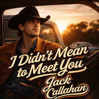 I DIDN'T MEAN TO MEET YOU by JACK CALLAHAN