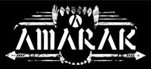 Logo T Shirt