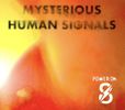 Mysterious Human Signals - CD