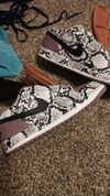 slide with the snakes