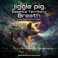 Essence Territory 1: Breath (Nada Brahma Psytrance DJ Set). by jiggle pig.