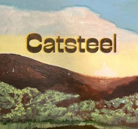 Catsteel at Private Event