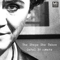 The Shape She Takes by Carel Brouwers