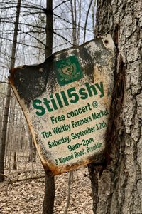 Still5shy @ Whitby Farmer's Market