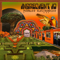 Pueblos Electronicos by Ingredient 10