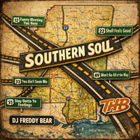 SHOLL FEELS GOOD TO ME by DJ FREDDY BEAR