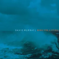 Born for a Storm by DAVID MURRAY