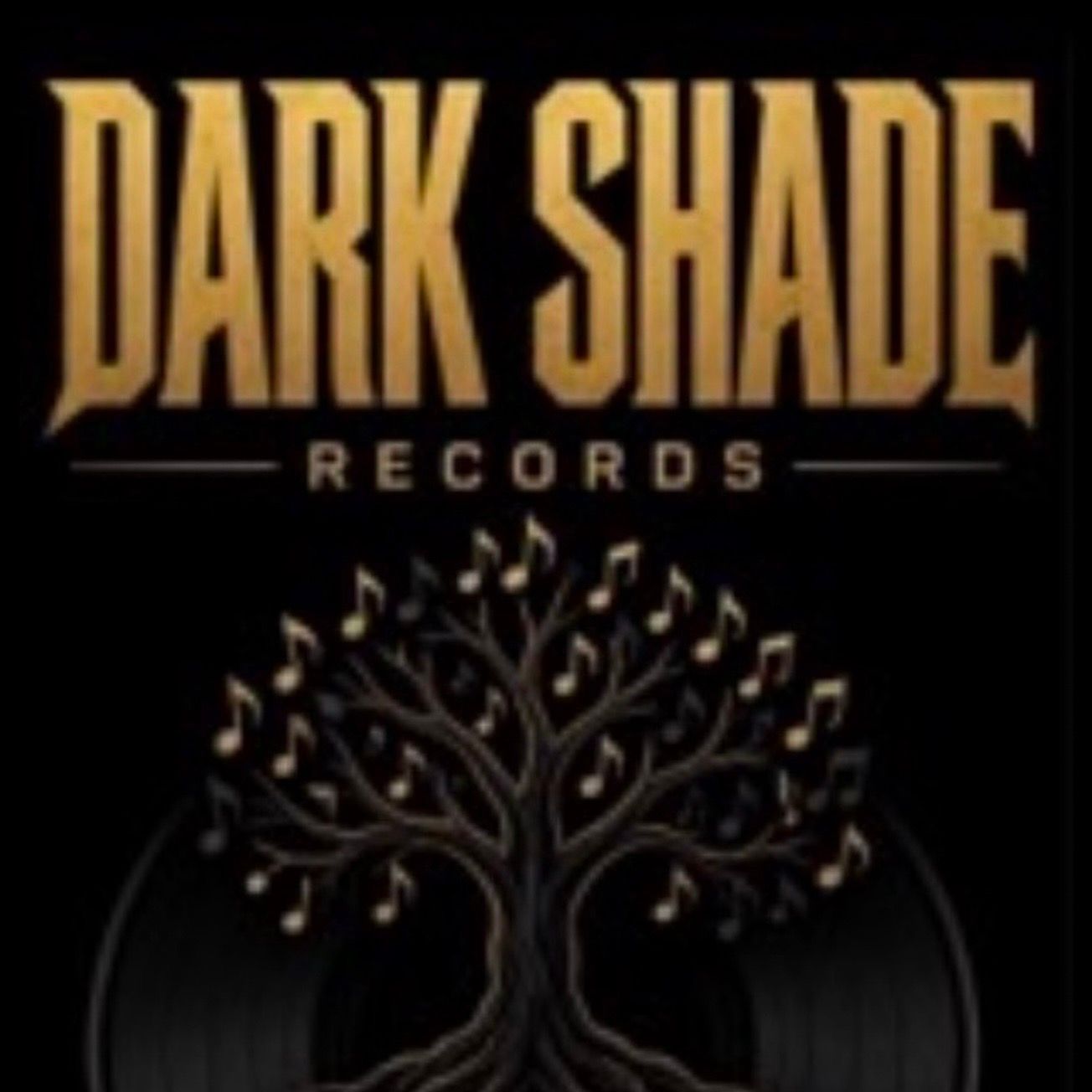 Dark Shade Entertainment