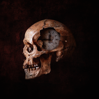 FALSE PROPHET - SINGLE by As A Flame