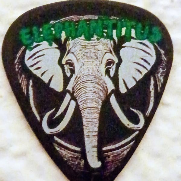 Guitar picks