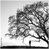 Beyond The Trees - Fine Art Poster