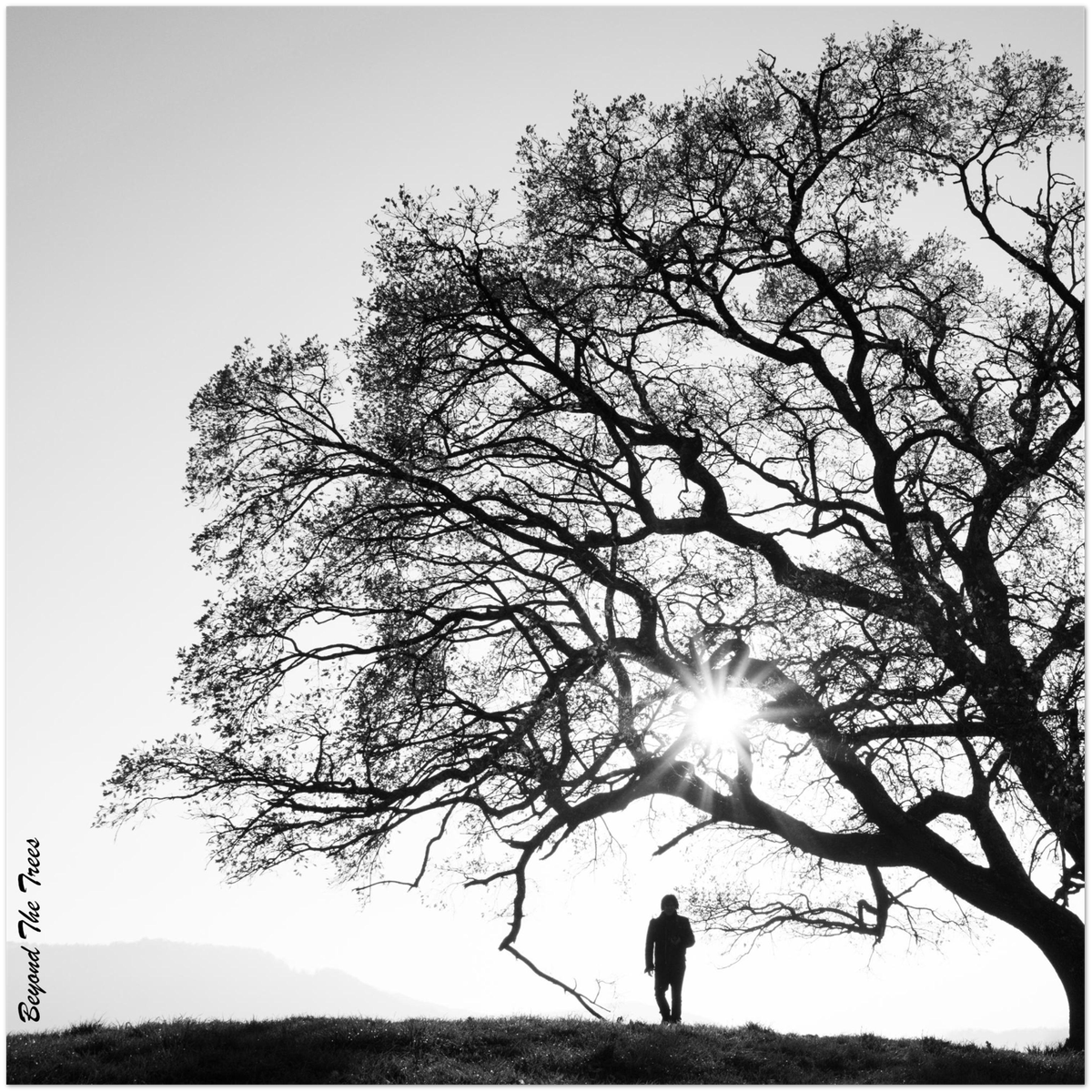 Beyond The Trees - Fine Art Poster