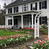 Sweetgum Band at Colerain Forges Mansion