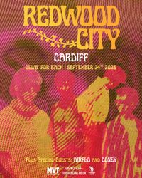 EP Release Party At Clwb Ifor Bach